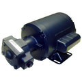 Frymaster Motor Pump Assy 8102337